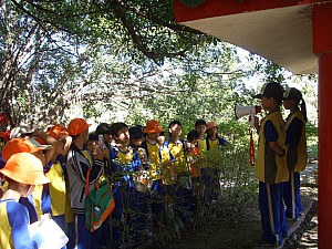 049.jpg