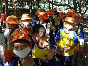 081.jpg 081.jpg