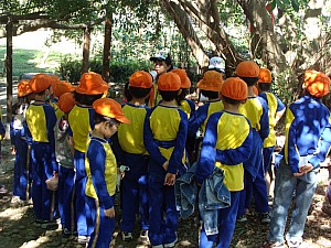 099.jpg 099.jpg