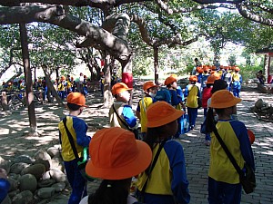 116.jpg 116.jpg