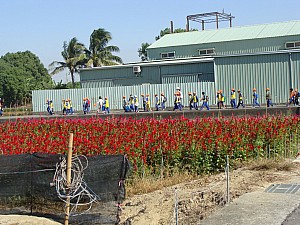 140.jpg 140.jpg