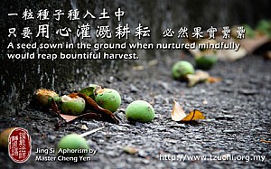20110204.jpg 20110204.jpg