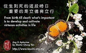 20110510.jpg 20110510.jpg