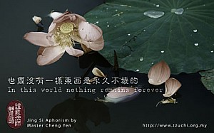 20120302.jpg 20120302.jpg