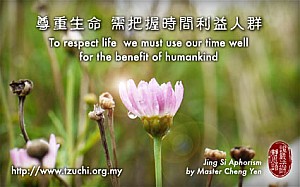 20120402.jpg 20120402.jpg