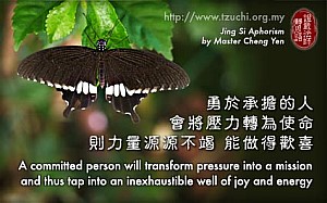20121219.jpg 20121219.jpg