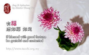 20130213.jpg 20130213.jpg