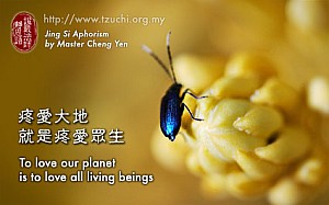 20130218.jpg 20130218.jpg
