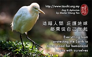 20130510.jpg 20130510.jpg