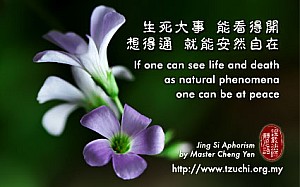 20131127.jpg 20131127.jpg