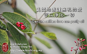 20140620.jpg 20140620.jpg