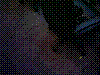 012.JPG