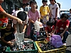 20070802_028.jpg