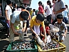 20070802_030.jpg