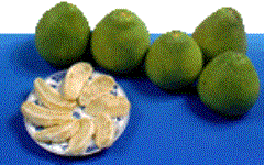 moon_pomelo.gif (9639 bytes)