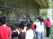 20040529moving_battery06.JPG